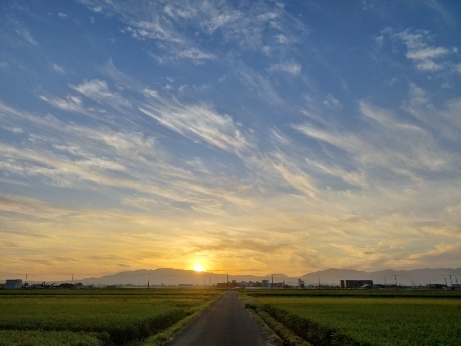 都城市（2022/9/20）今朝は晴れてま～す😄❗（東の空）