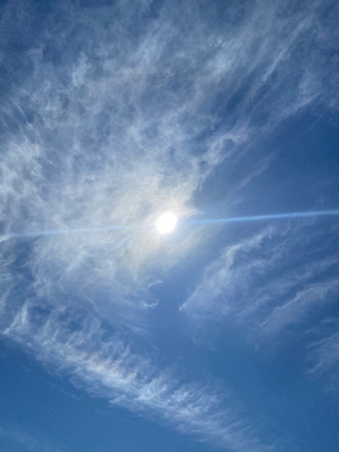 眩しい太陽☀️☀️☀️