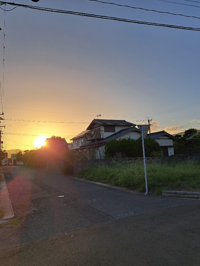 散歩の風景