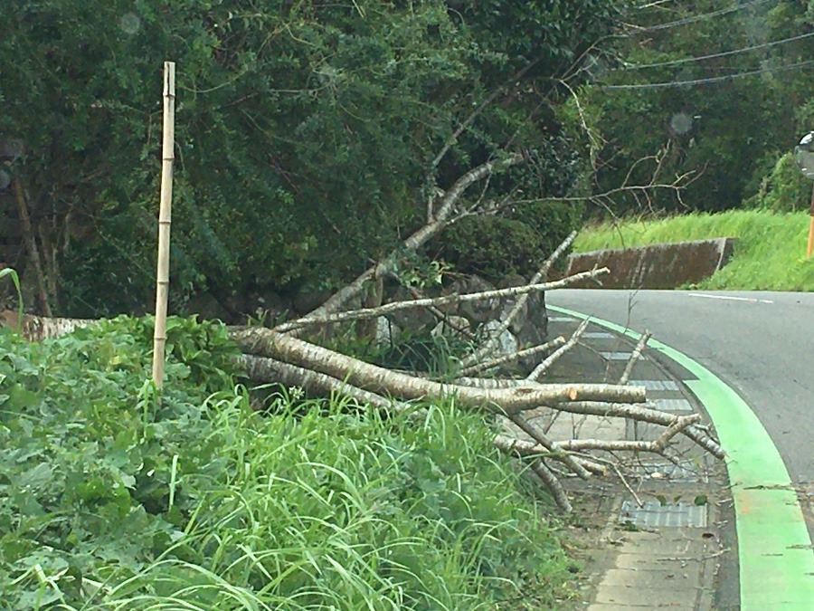 ⭕️　台風の影響‼️（≧∇≦）