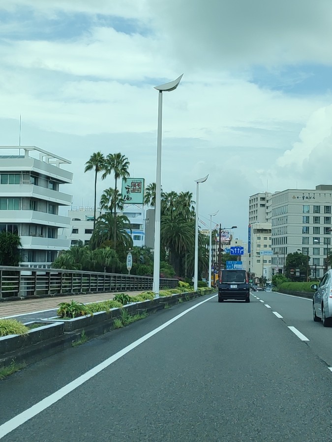 宮崎市 橘橋の上🚕