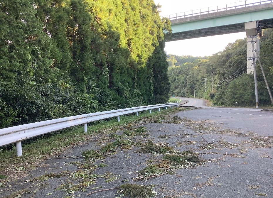 内緒のサボり場