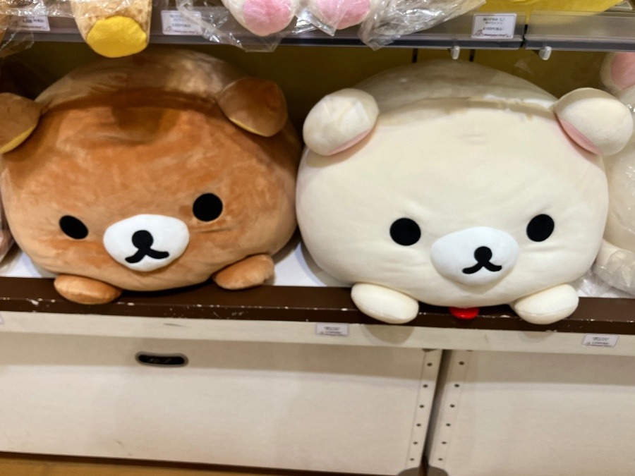 これも可愛いヾ(＠⌒ー⌒＠)ノ