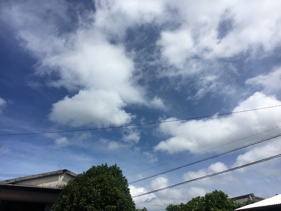 ⭕️空部→   いま空（≧∇≦）‼️114.