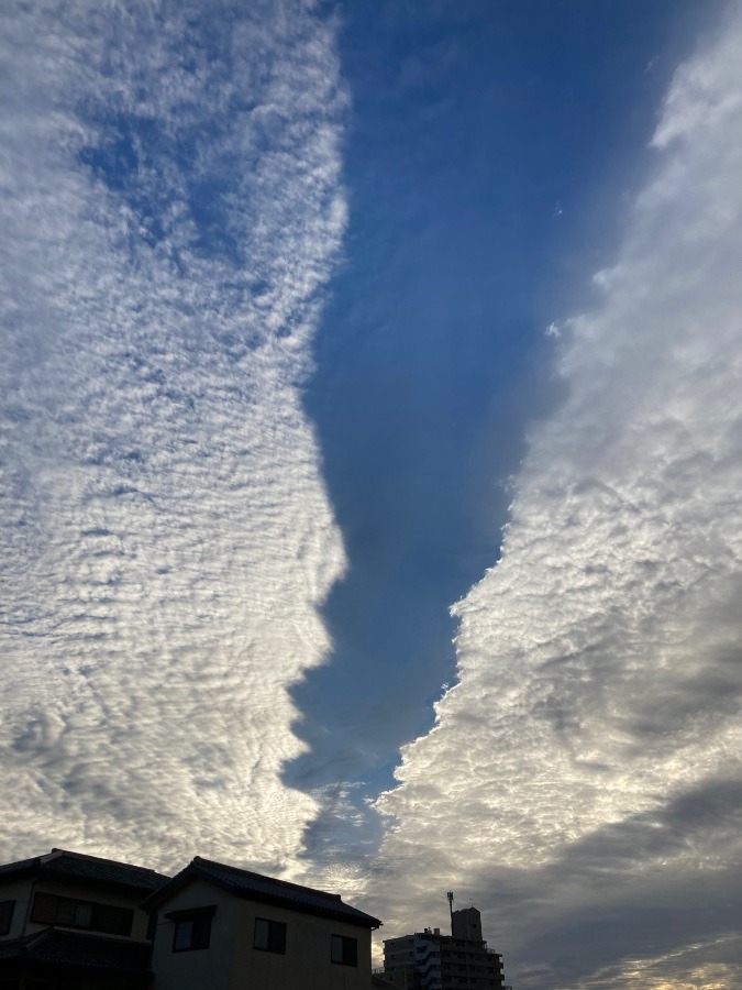 ✨昨日の夕方の空✨