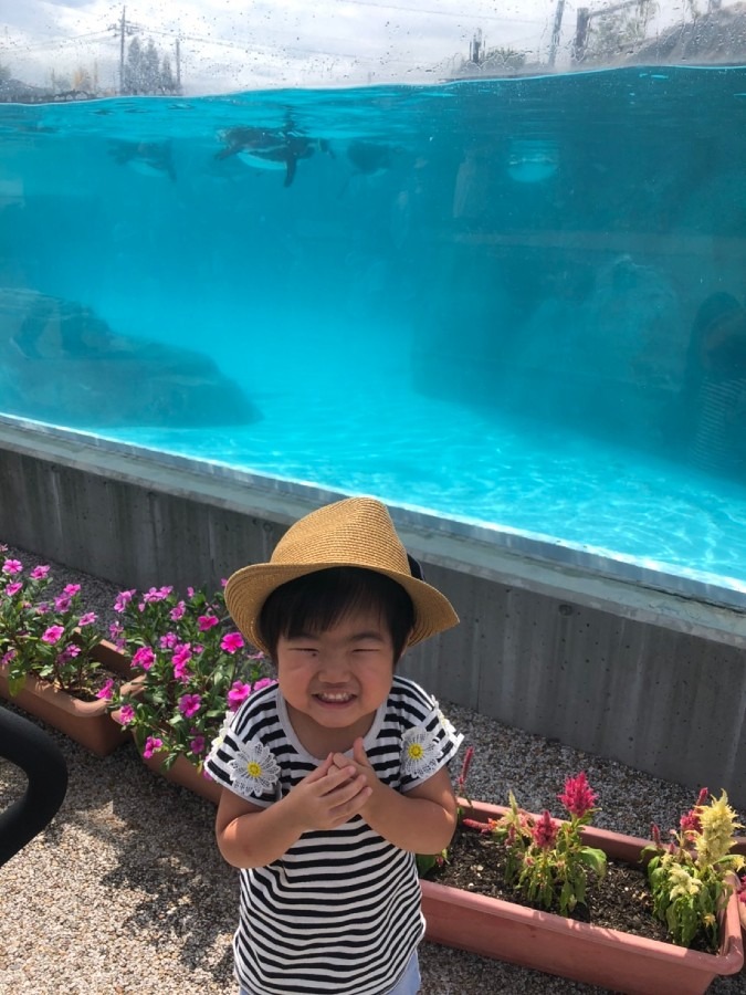 蒼桜ちゃんと水族館