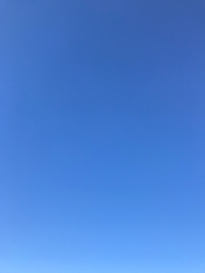 ✨今朝の空✨