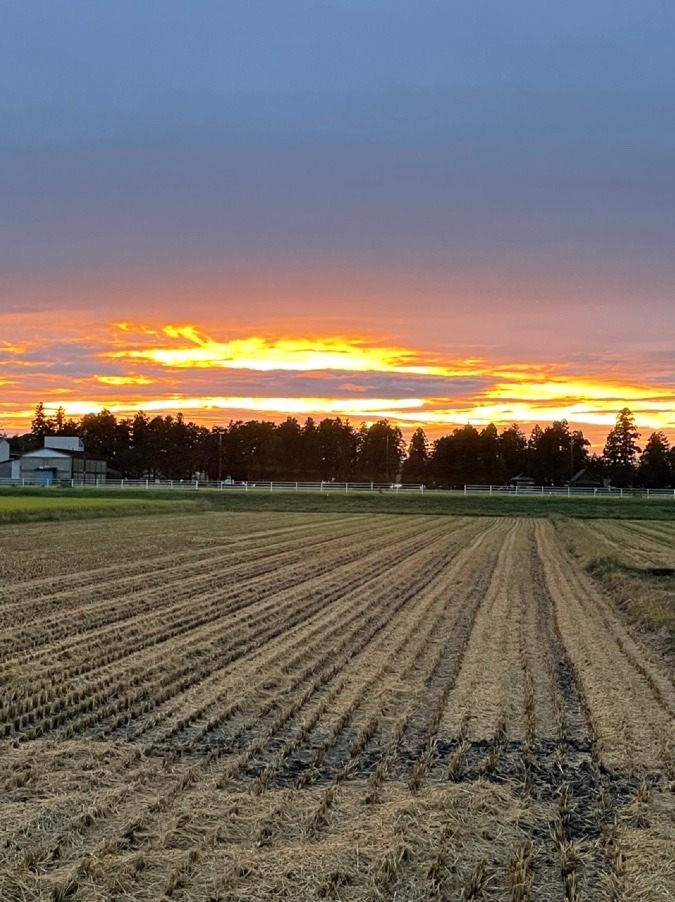 昨日の夕焼け✨✨