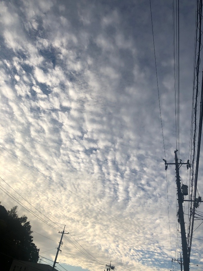 今朝9/25 6:30の空