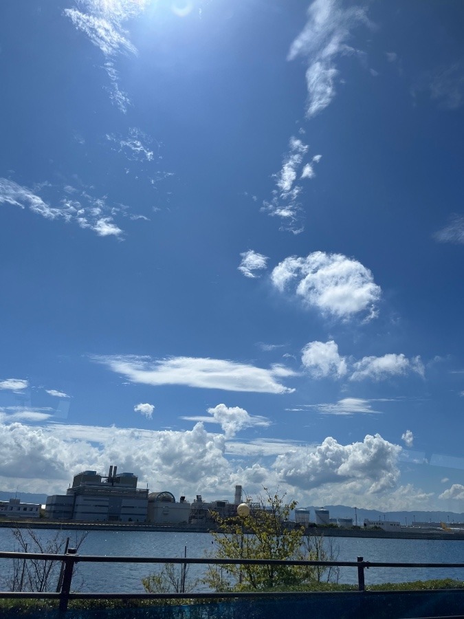 雲の水族館