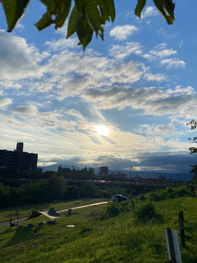 河川敷　散歩コース🎶🎶🎶