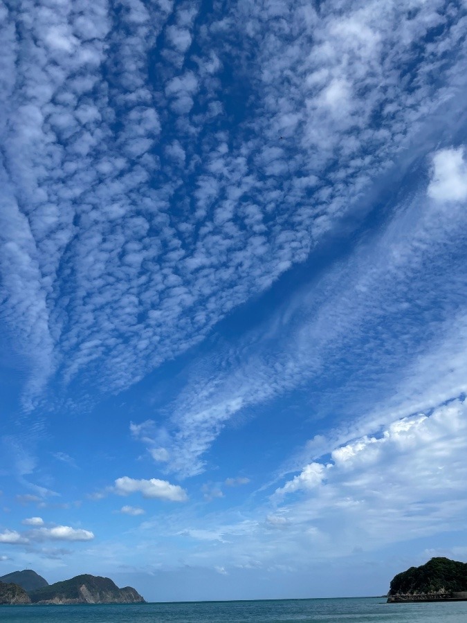 波当津海岸　②