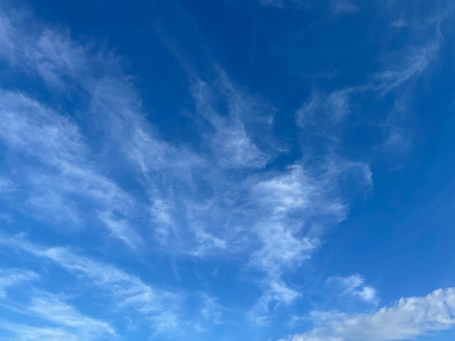 昨日の昼の空