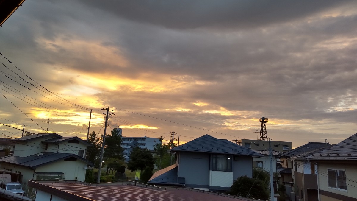 今日も、よい天気。布団の日光消毒❓️