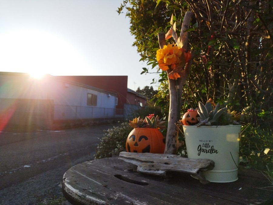 ちょっとだけハロウィン🎃気分😊　③