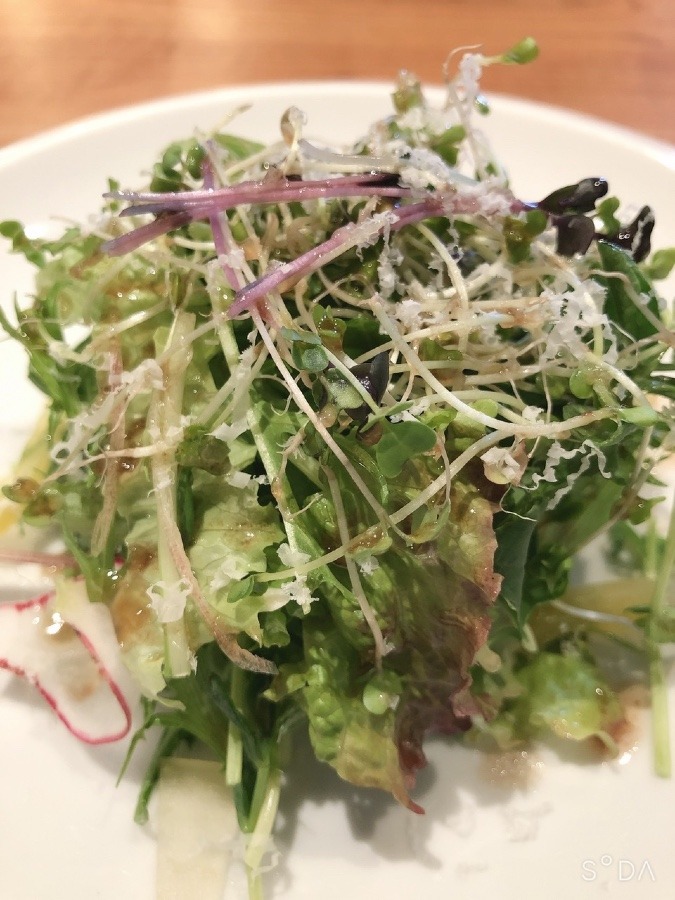 本日の🥗