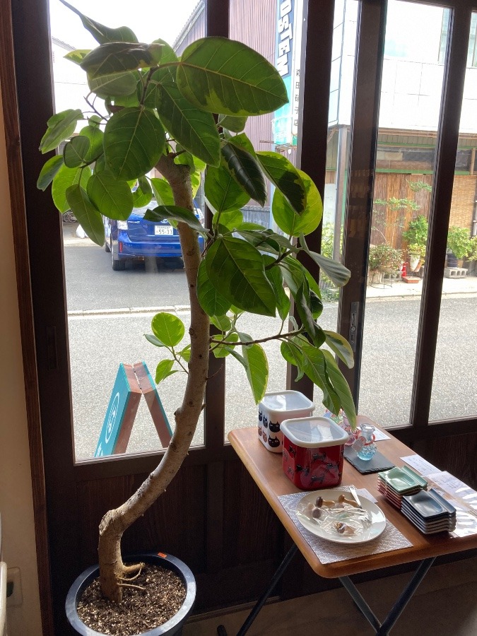 浦野醤油醸造元店内