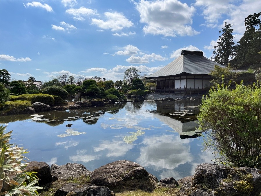 池の雲