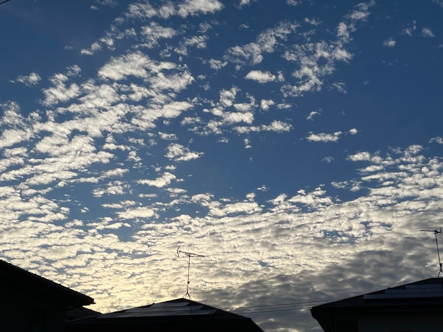 夕空❣️