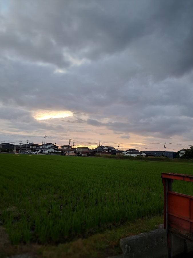 10/11　今朝の空