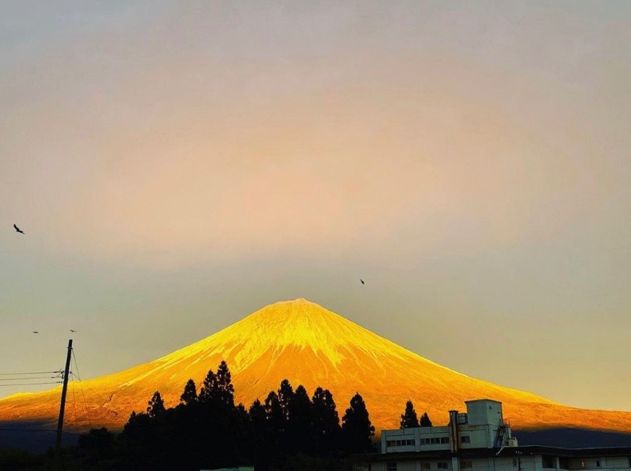 綺麗な富士山❣️❶