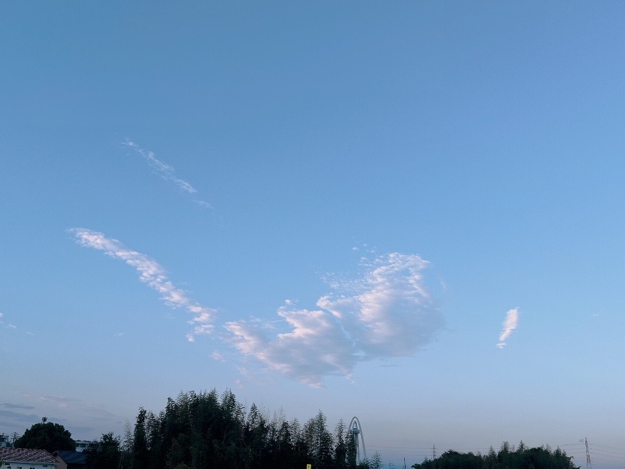 【朝の空】