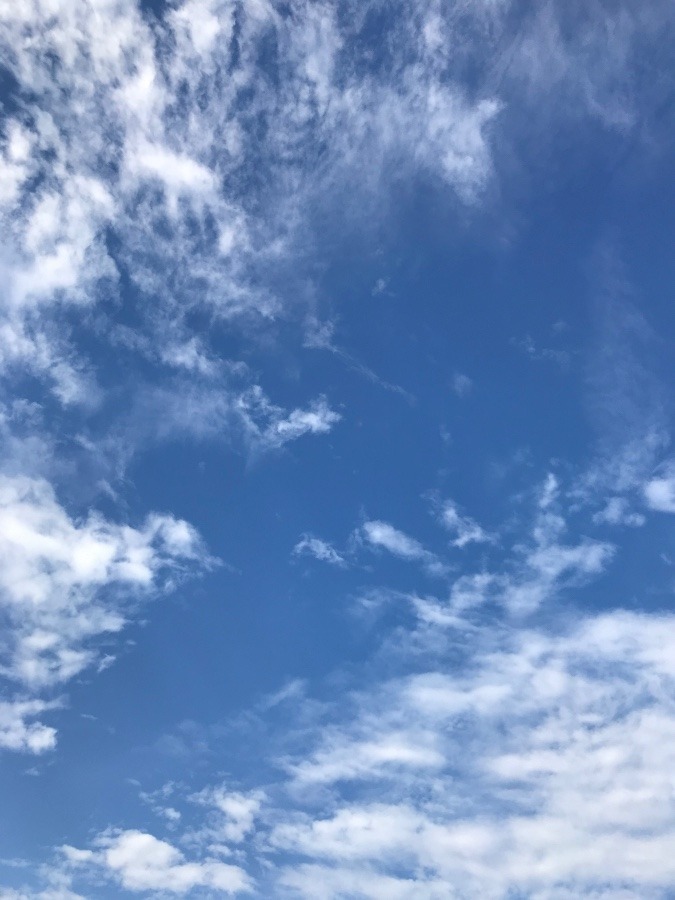 今空〜🌤