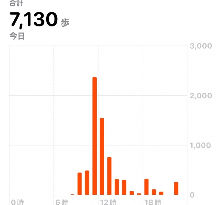 7130歩　ウォーキング10/29