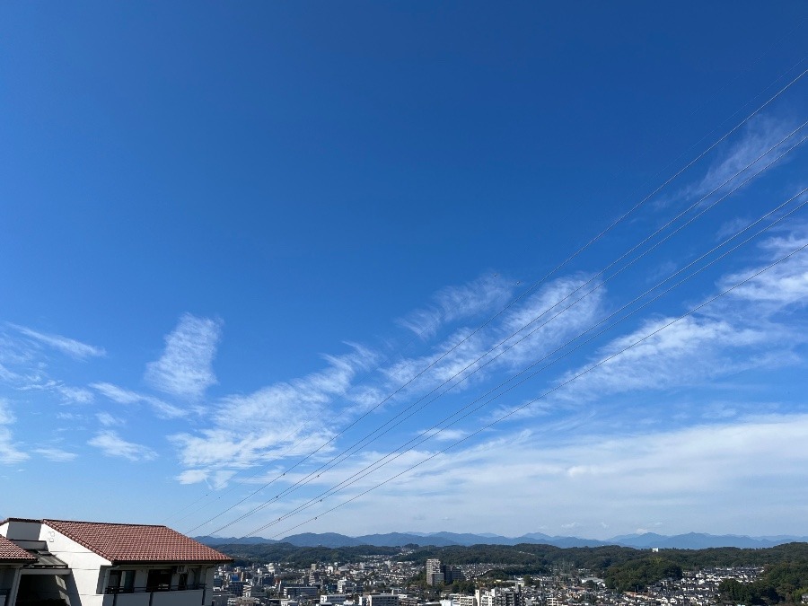 本日です❣️