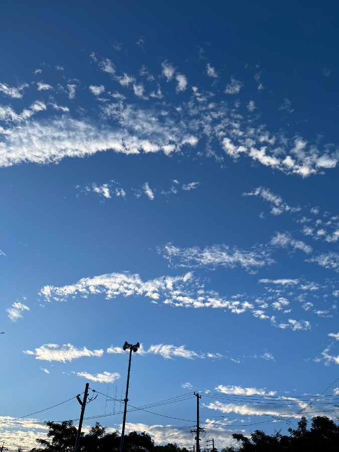 10/18 朝