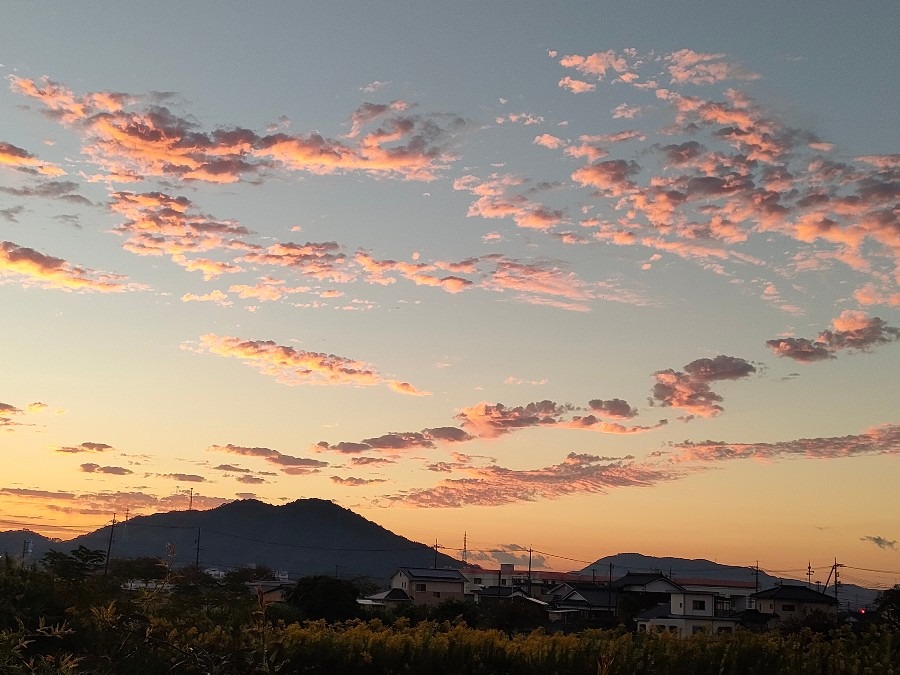 雲が、ピンク