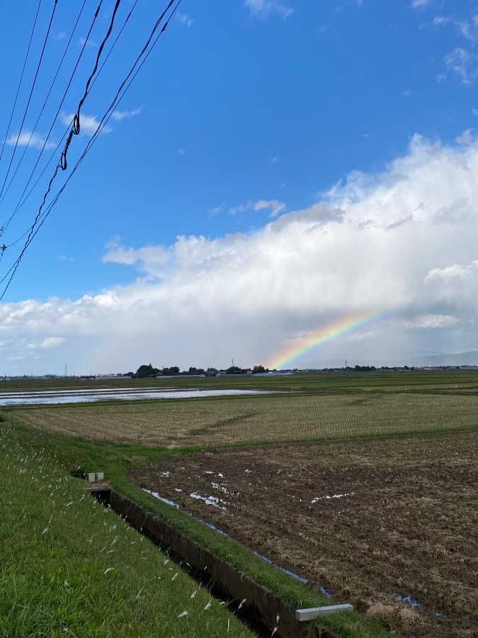 2本の虹🌈🌈🌈