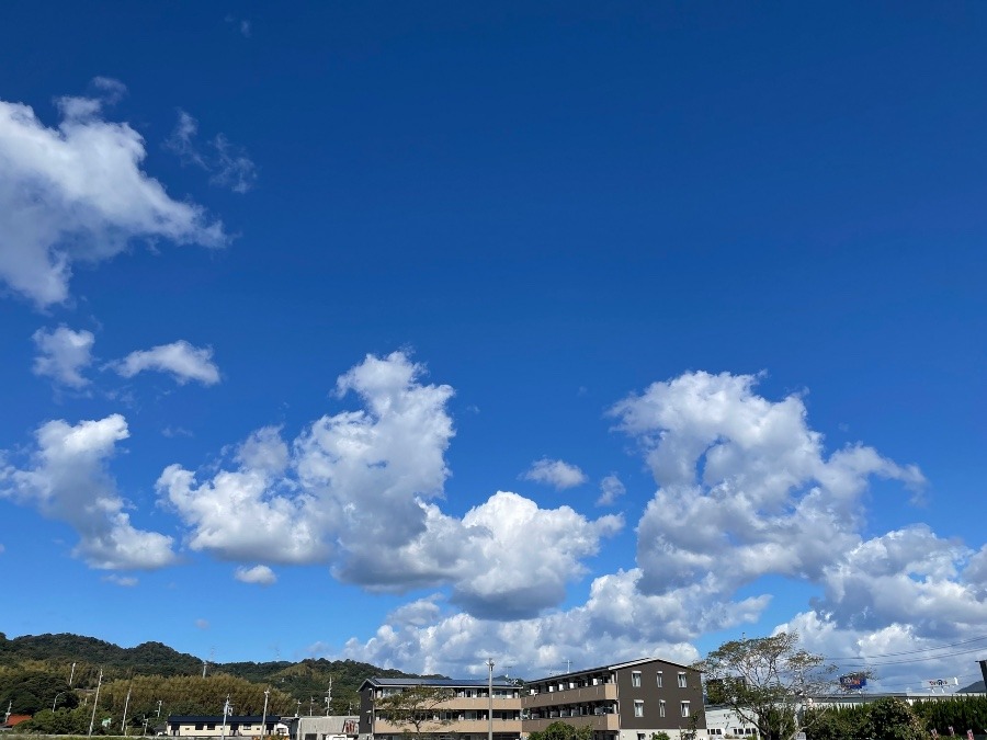 朝の空　10時