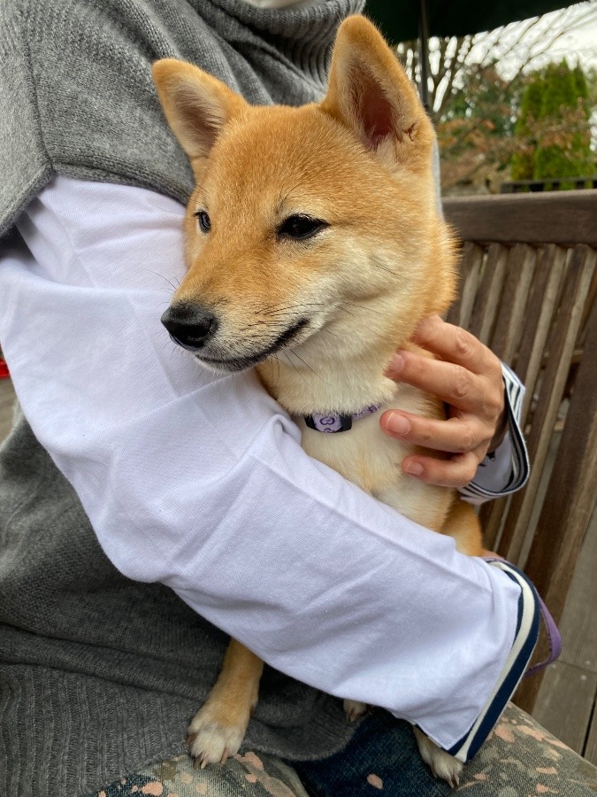 ママのおひざで♡