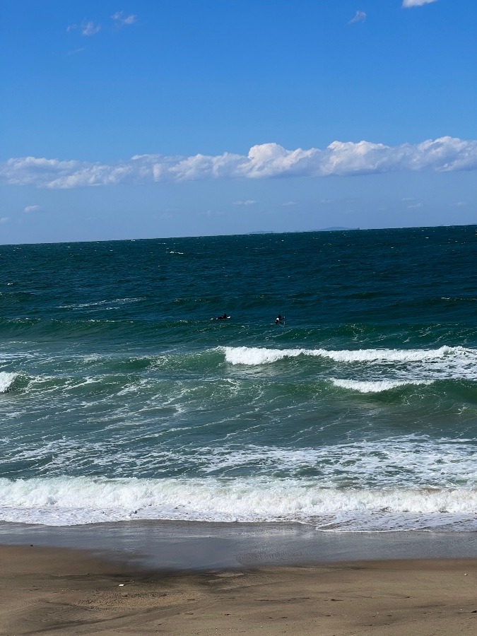 サーフィンやっている人が結構います🏄