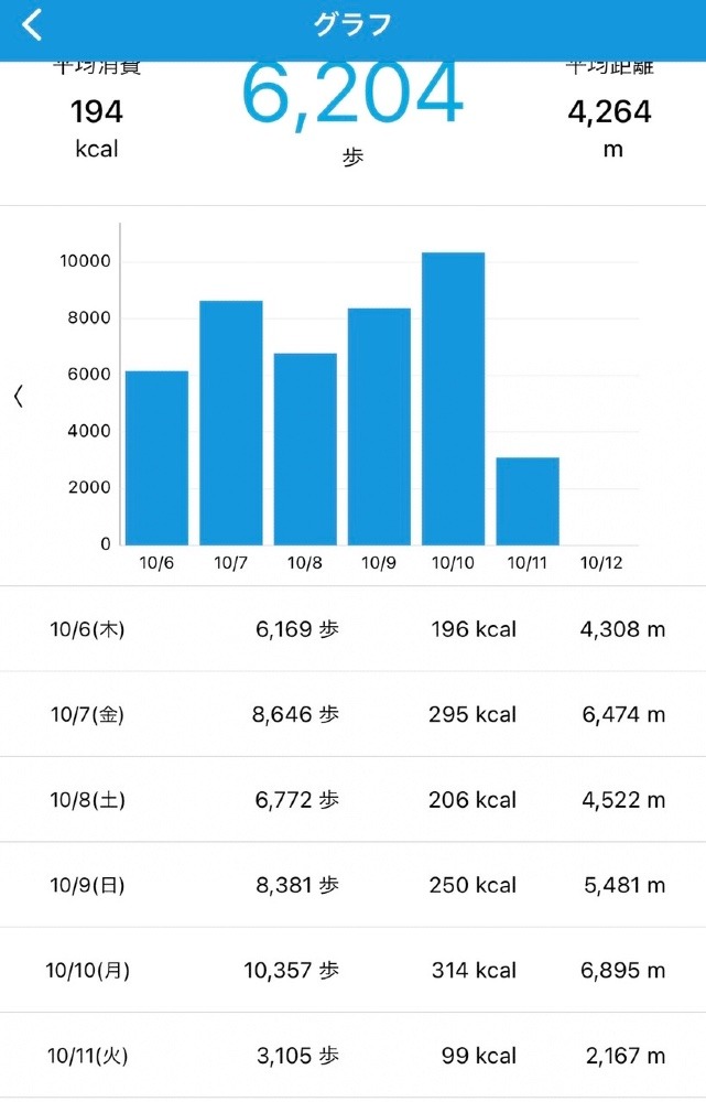 3105歩　10/11