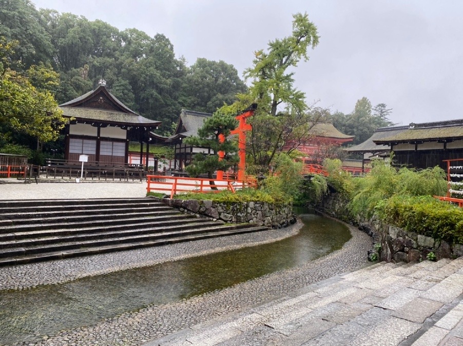 旅の思い出✨　下鴨神社⛩