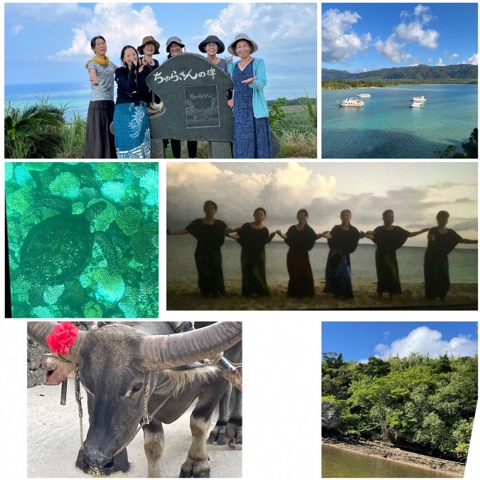 楽しい沖縄の島々