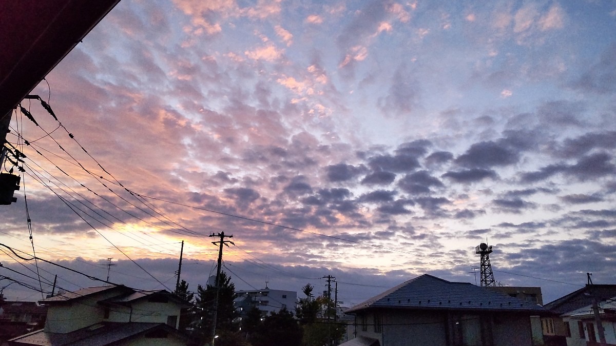 早朝の朝日、頼りに成るかな？