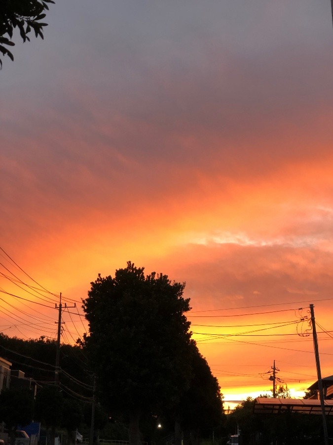 今日の夕焼け