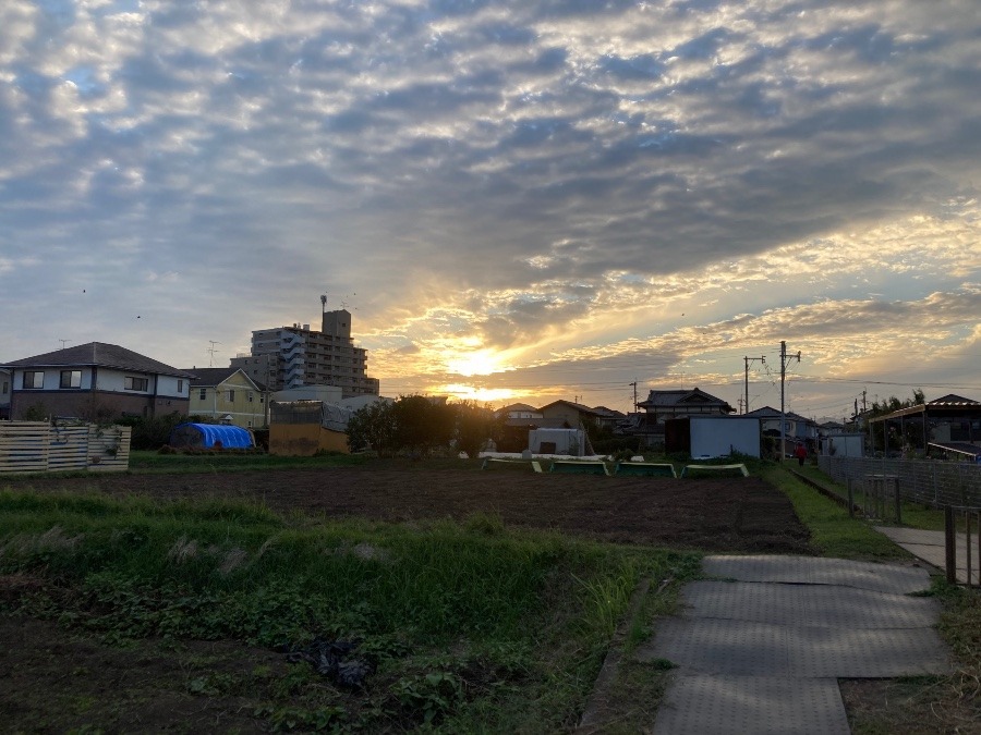 今日の夕陽