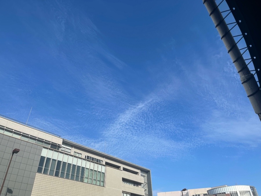 今朝の空