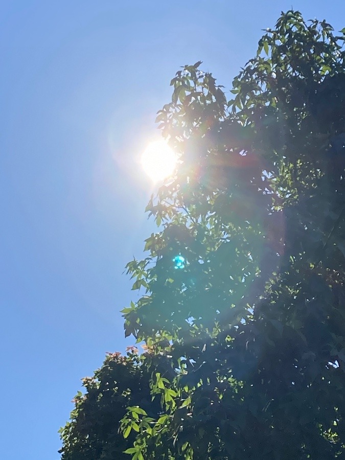 本日は快晴なり☀️