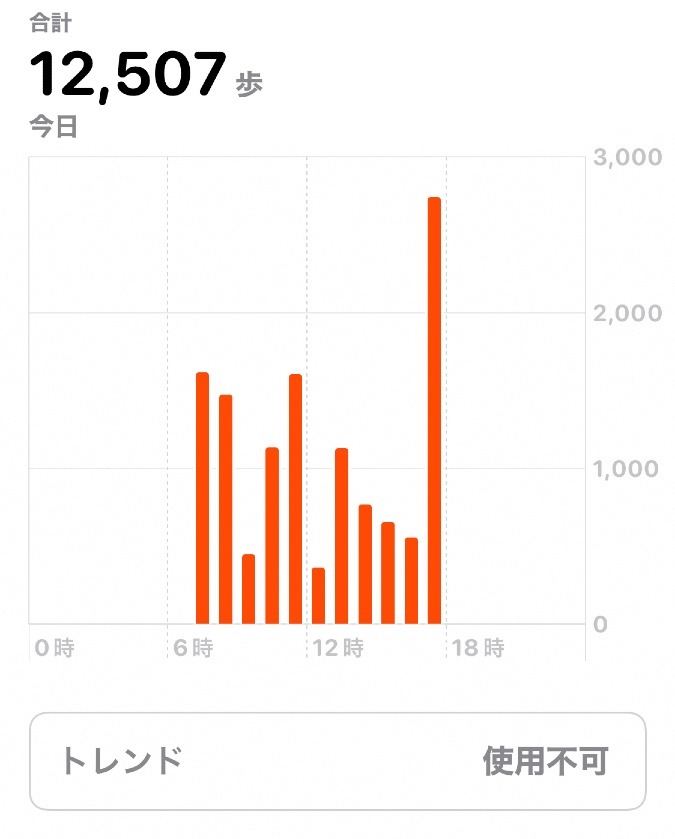 12507歩　ウォーキング部