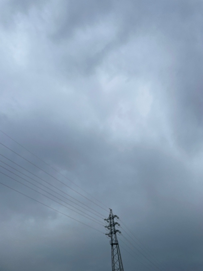 今日の岡崎