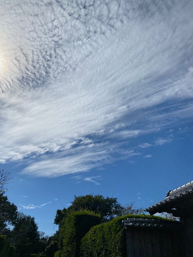 今空