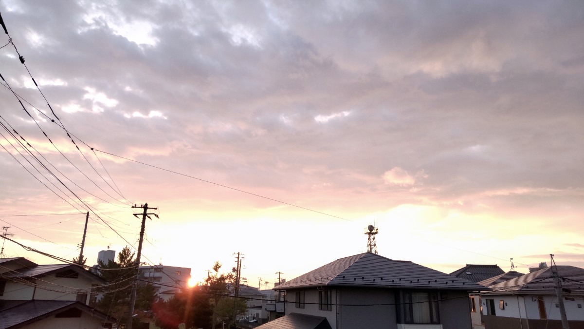 今日も、秋晴れ❗️