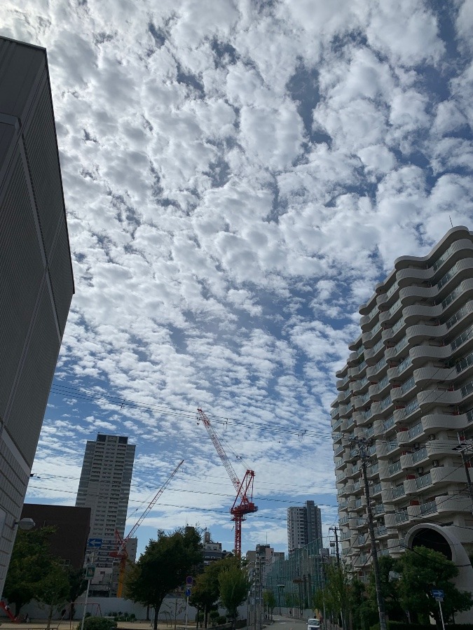 静かな空に、悲しい…