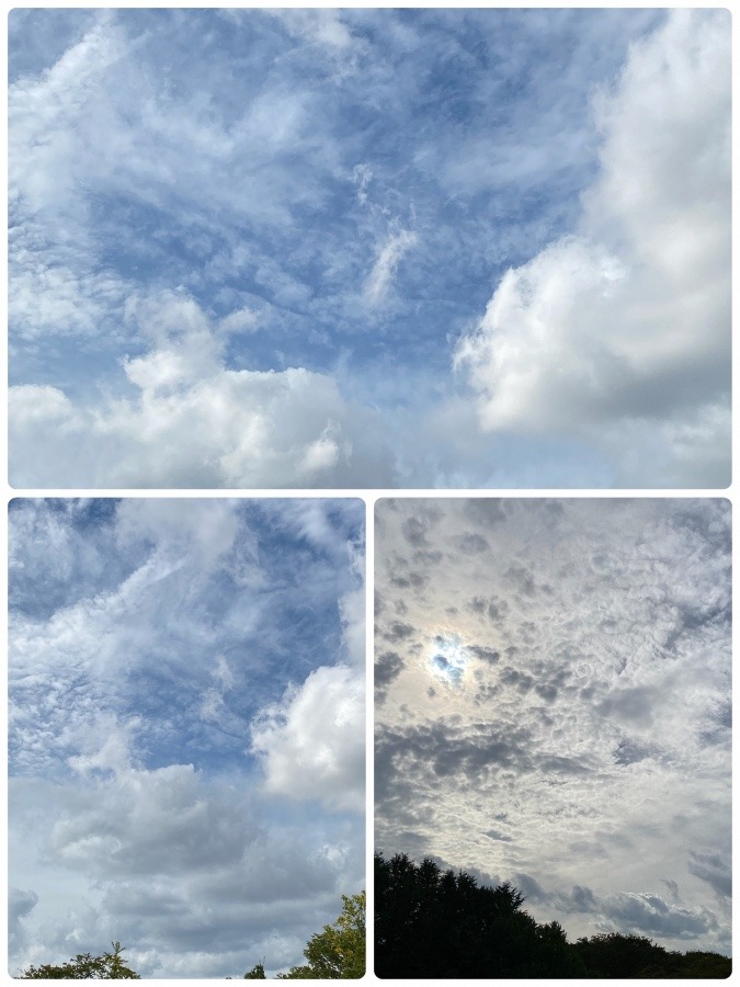 今日の雲🎶🎶🎶