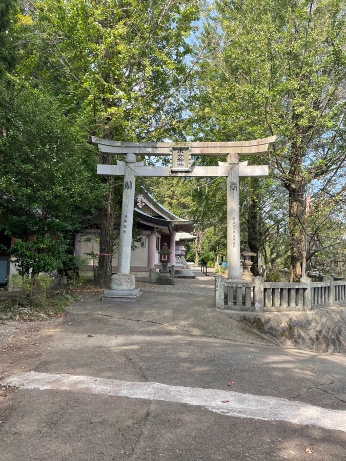 神社にお参りへ